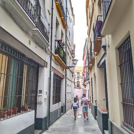 Cuarta Revuelta Alquiler * Sevilla